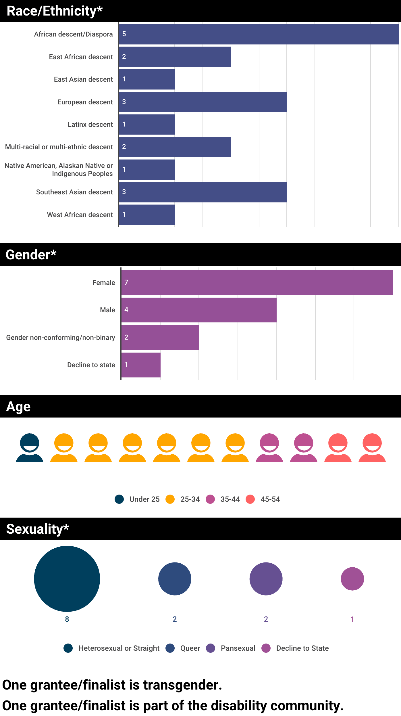 Chart showing race/ethnicity, gender, age, sexuality and transgender and disability identity