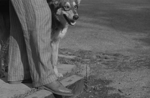Still from The Seeing Eye